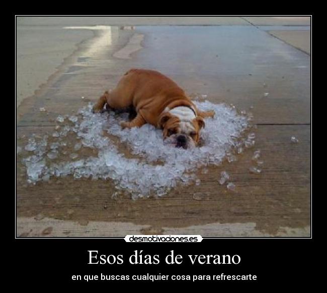 Esos días de verano - en que buscas cualquier cosa para refrescarte