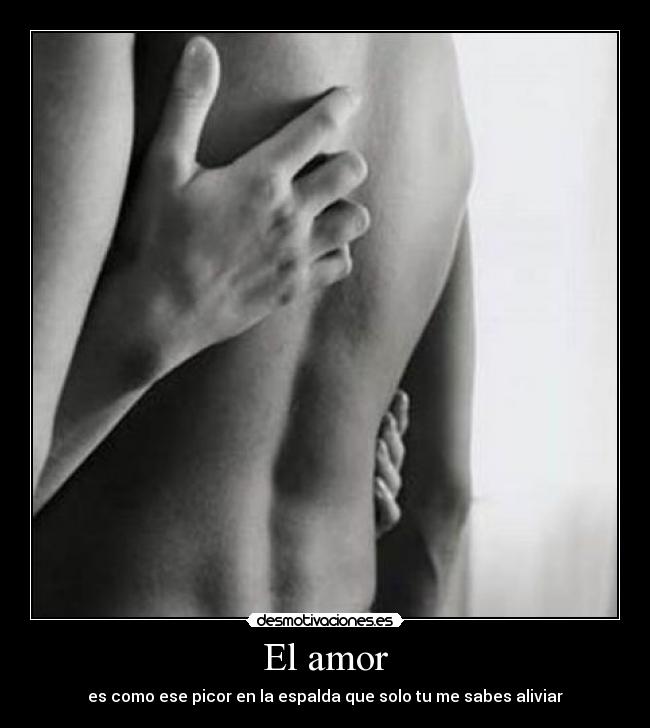 El amor - 