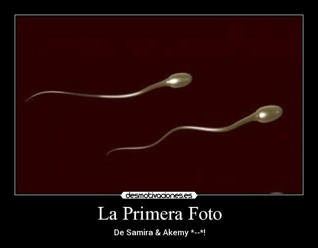 carteles ftoos desmotivaciones