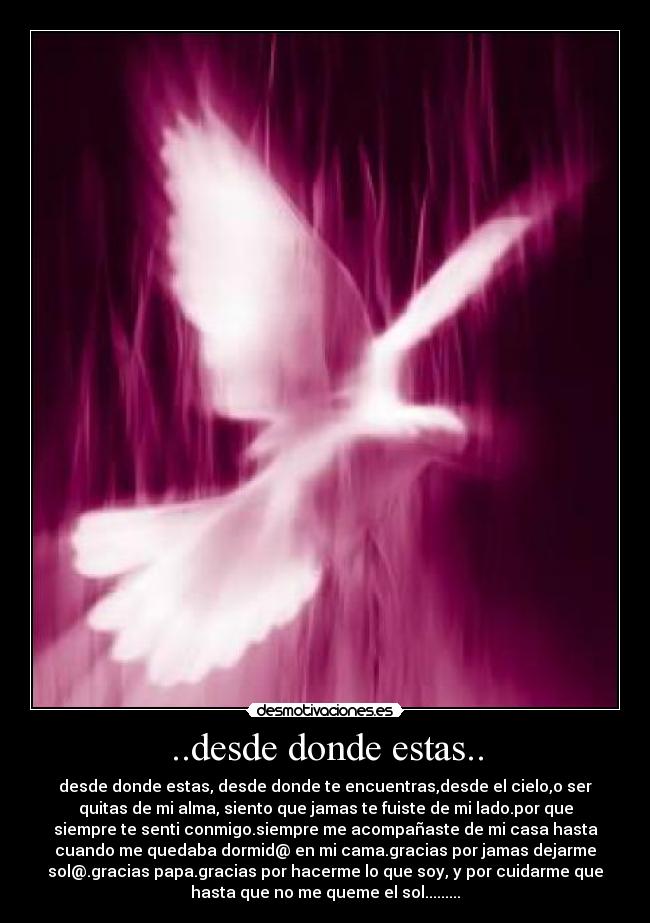 ..desde donde estas.. - desde donde estas, desde donde te encuentras,desde el cielo,o ser
quitas de mi alma, siento que jamas te fuiste de mi lado.por que
siempre te senti conmigo.siempre me acompañaste de mi casa hasta
cuando me quedaba dormid@ en mi cama.gracias por jamas dejarme
sol@.gracias papa.gracias por hacerme lo que soy, y por cuidarme que
hasta que no me queme el sol.........