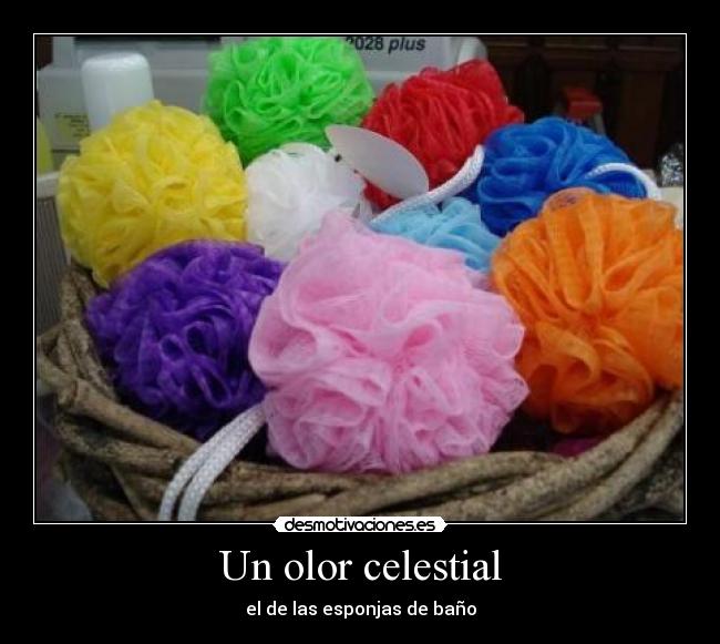 Un olor celestial - el de las esponjas de baño