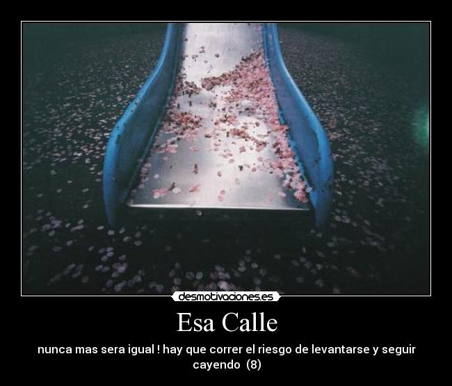 Esa Calle - nunca mas sera igual ! hay que correr el riesgo de levantarse y seguir cayendo  (8)