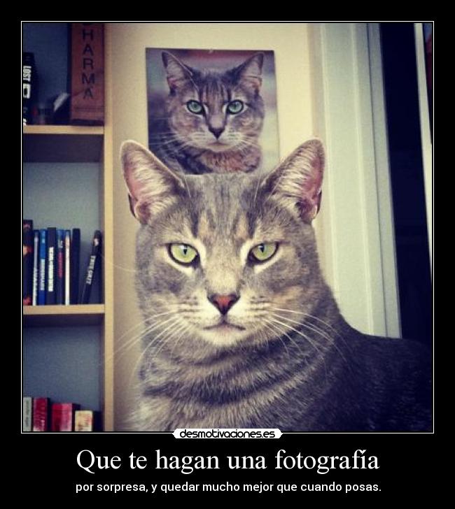 Que te hagan una fotografía -