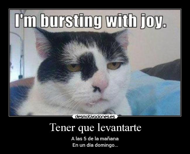 carteles suele pasar desmotivaciones