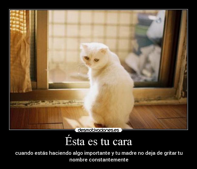 carteles mucho coraje que ponga asi jaja without rules desmotivaciones