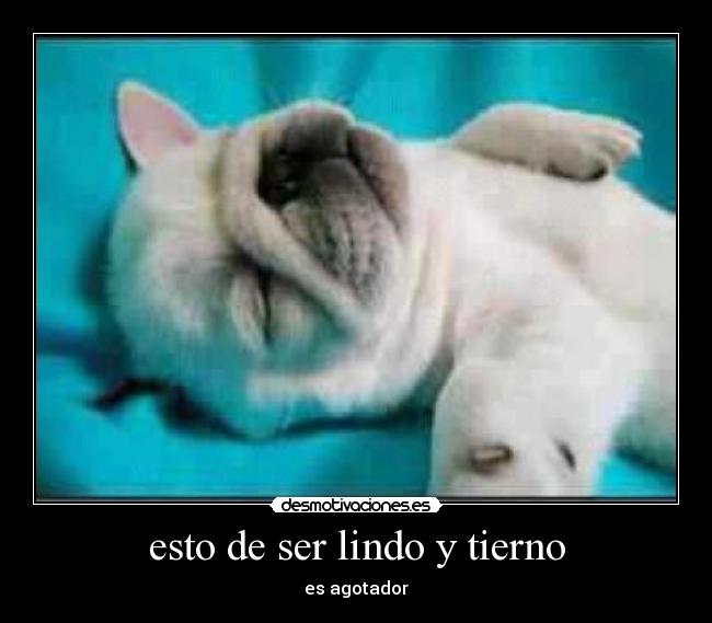 esto de ser lindo y tierno -