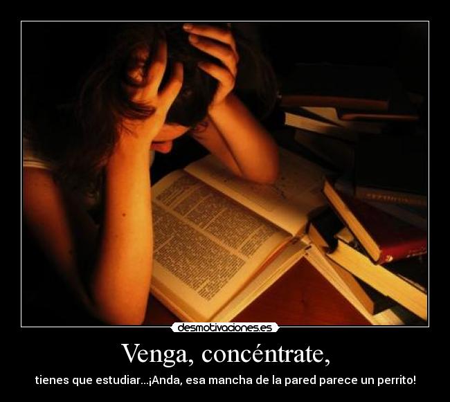 Venga, concéntrate, - 
