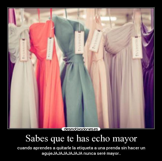 carteles asumo desde desmotivaciones