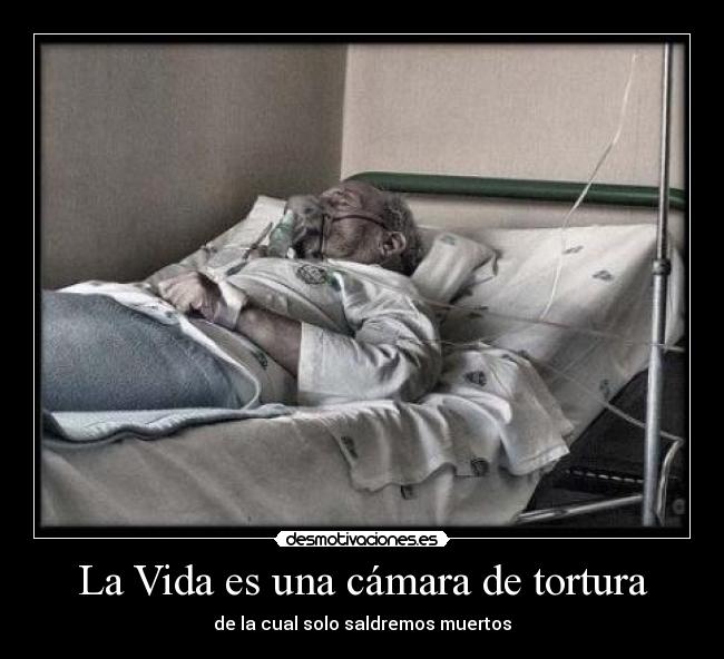 La Vida es una cámara de tortura -