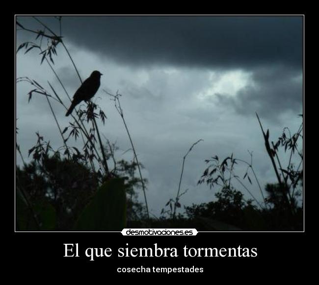 carteles tormentas tempestades que siembra desmotivaciones