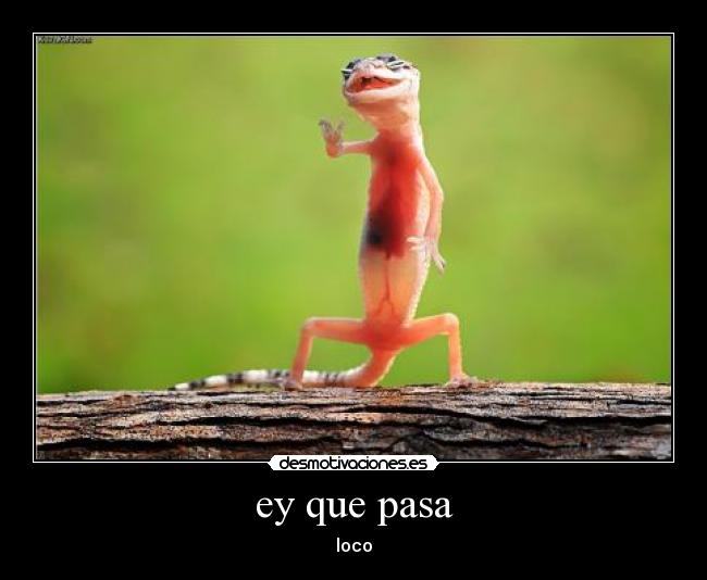 carteles desmotivaciones