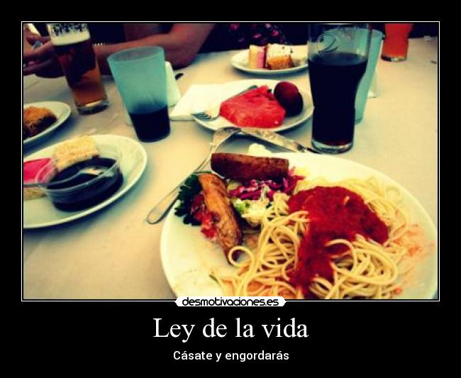 Ley de la vida - 