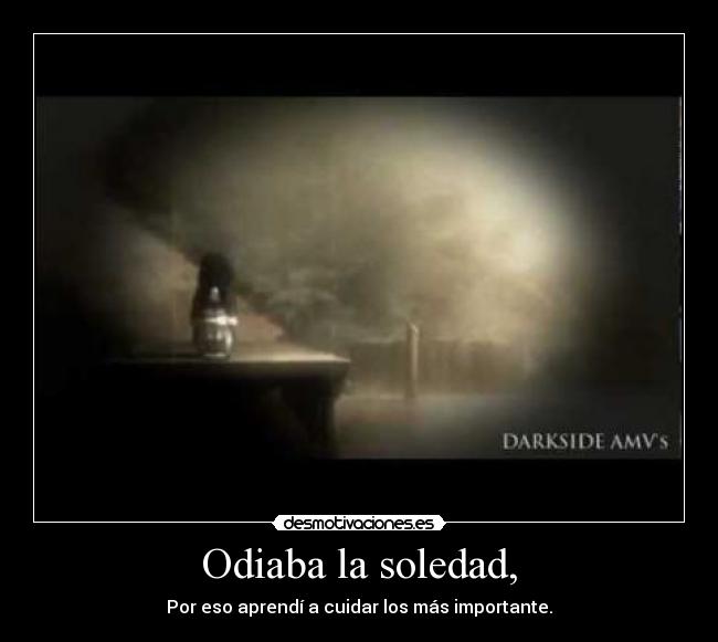 Odiaba la soledad, - Por eso aprendí a cuidar los más importante.