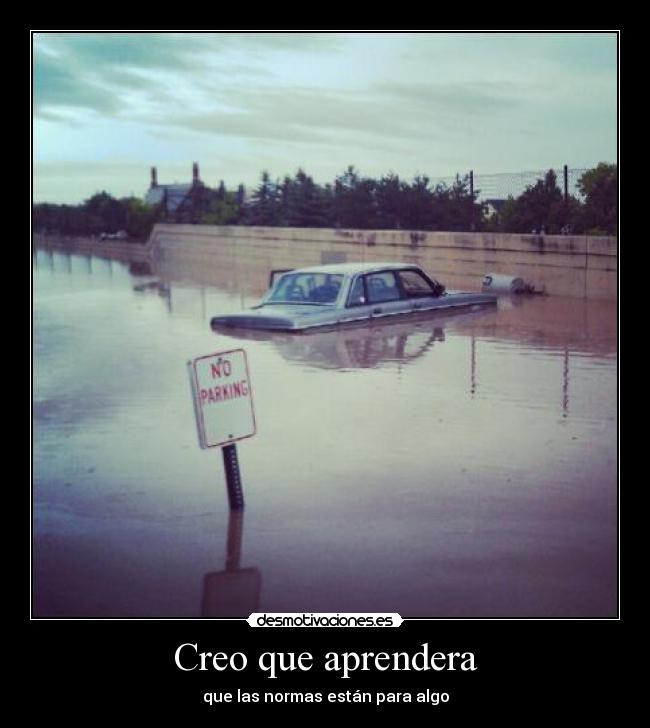 Creo que aprendera -
