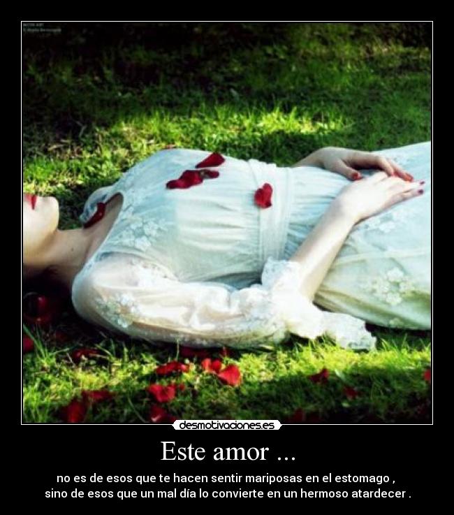 Este amor ... - no es de esos que te hacen sentir mariposas en el estomago ,
sino de esos que un mal día lo convierte en un hermoso atardecer .