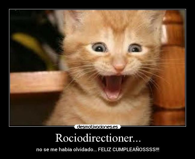 Rociodirectioner... - no se me había olvidado... FELIZ CUMPLEAÑOSSSS!!!