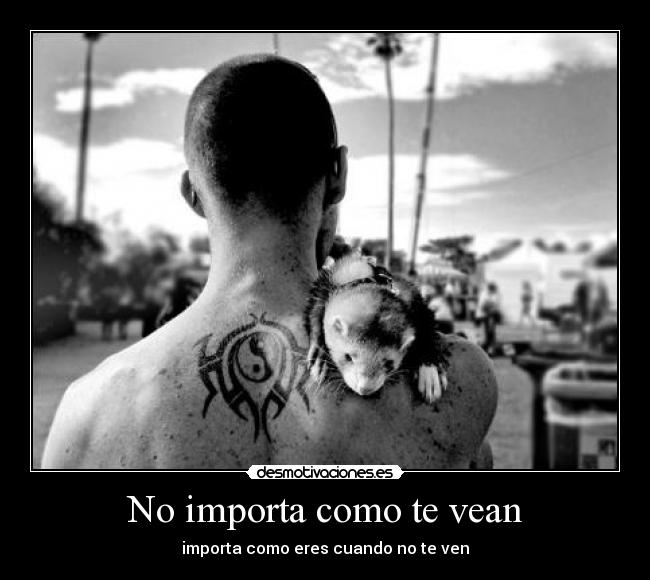 No importa como te vean - 
