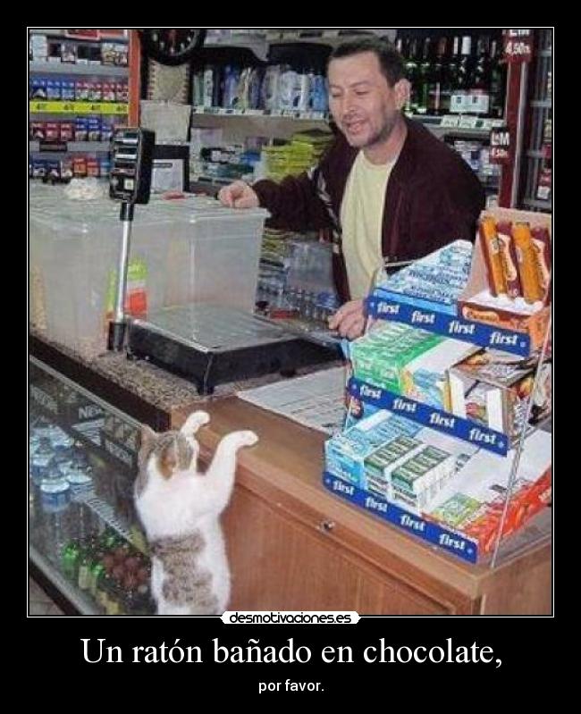 carteles voy matar primo conaso ayuda pipo desmotivaciones