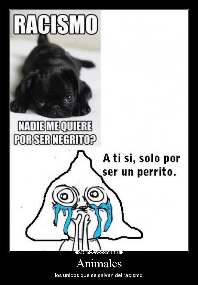 Animales - los unicos que se salvan del racismo.
