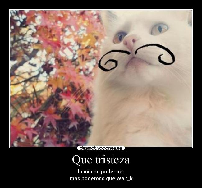 Que tristeza - la mía no poder ser
más poderoso que Walt_k