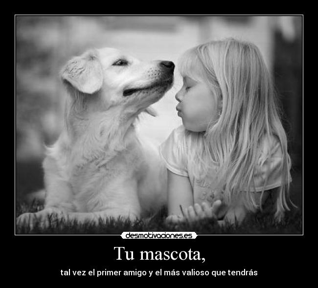 Tu mascota, -