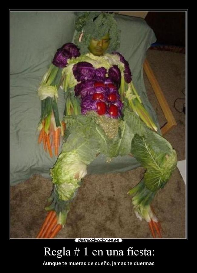 carteles fiesta fiesta desmotivaciones