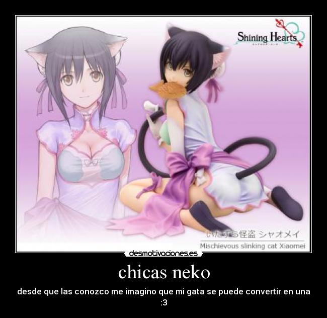 chicas neko -
