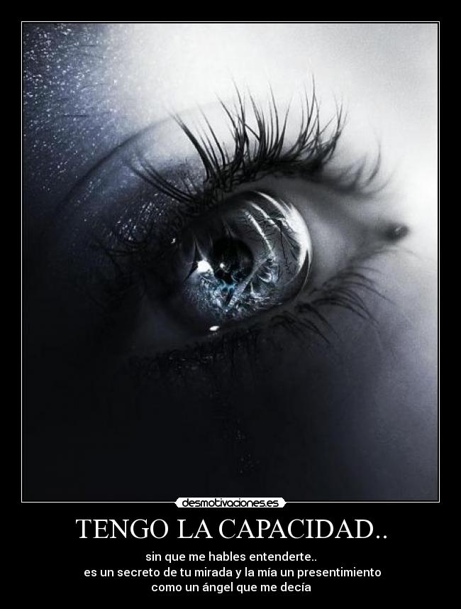 carteles finaa desmotivaciones