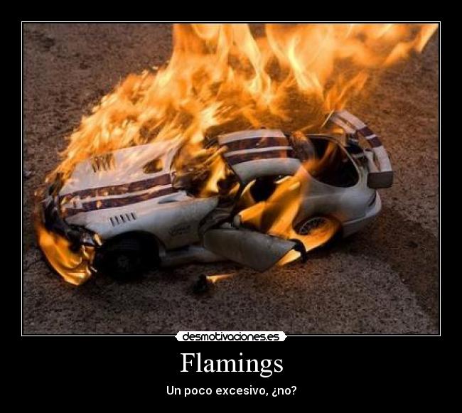 Flamings - Un poco excesivo, ¿no?