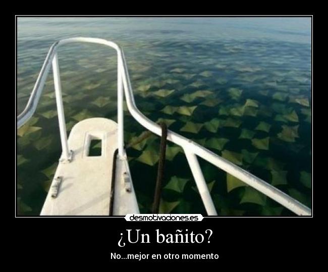 ¿Un bañito? -