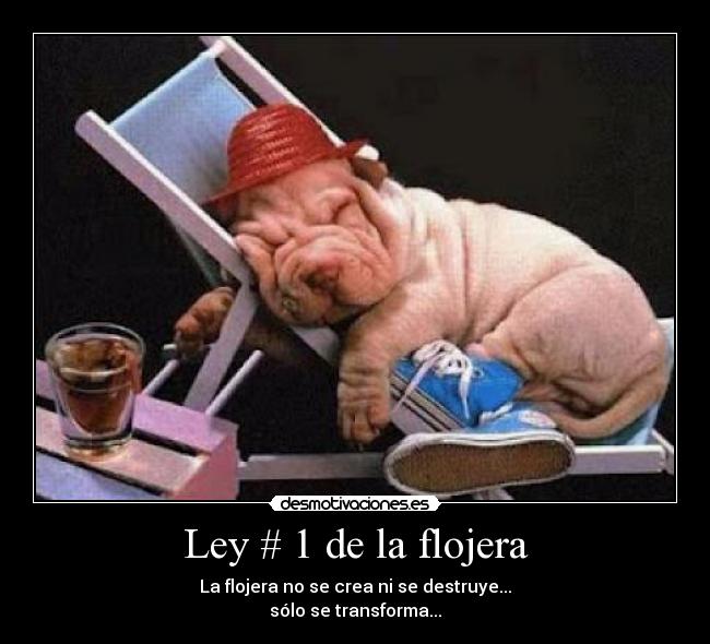 Ley # 1 de la flojera - La flojera no se crea ni se destruye...
sólo se transforma...