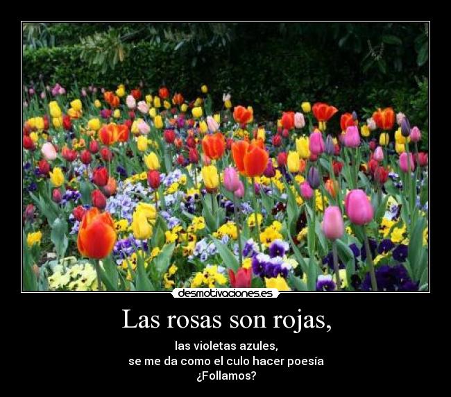 Las rosas son rojas, - las violetas azules,
se me da como el culo hacer poesía
¿Follamos?