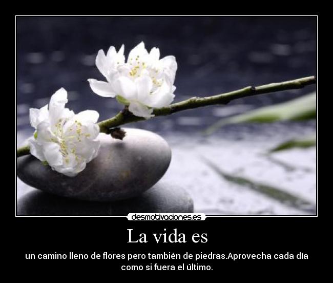 La vida es - un camino lleno de flores pero también de piedras.Aprovecha cada día
como si fuera el último.