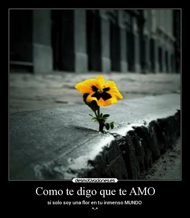 Como te digo que te AMO - si solo soy una flor en tu inmenso MUNDO
*-*