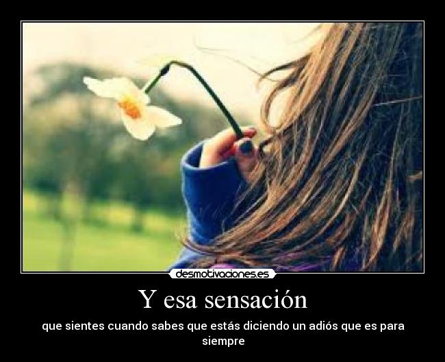 Y esa sensación - 