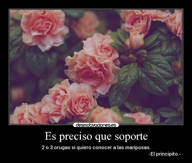 Es preciso que soporte -