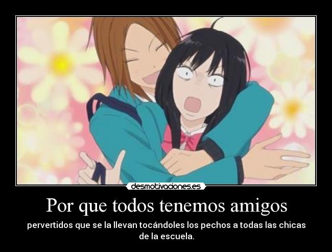 carteles amigos pechos desmotivaciones