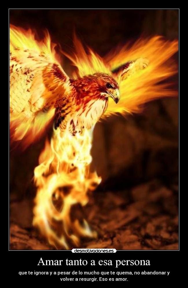 Amar tanto a esa persona -