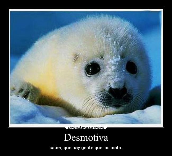 carteles julen jaurena desmotivaciones