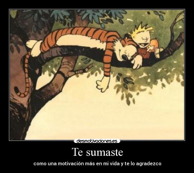 Te sumaste - como una motivación más en mi vida y te lo agradezco