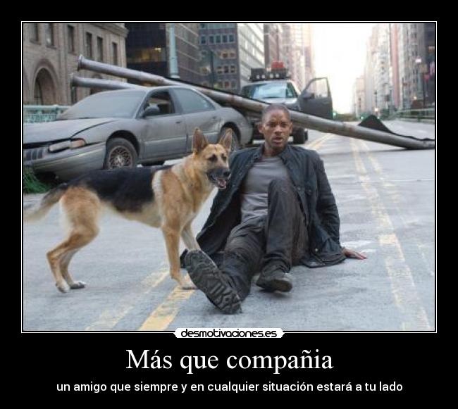 Más que compañia - 