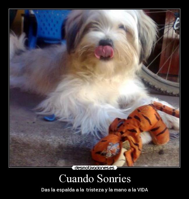 Cuando Sonries -