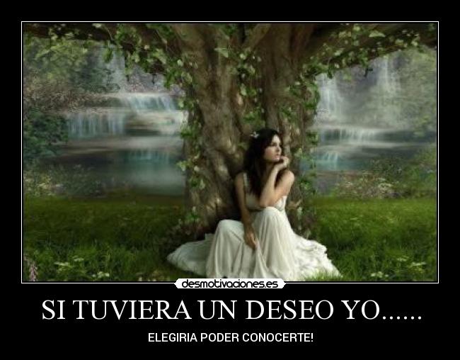 SI TUVIERA UN DESEO YO...... - ELEGIRIA PODER CONOCERTE!