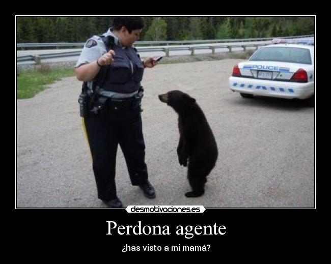 Perdona agente -
