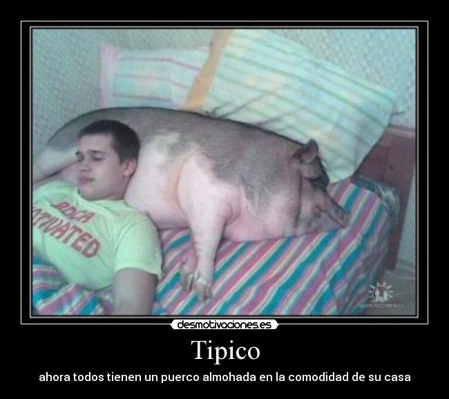 Tipico -