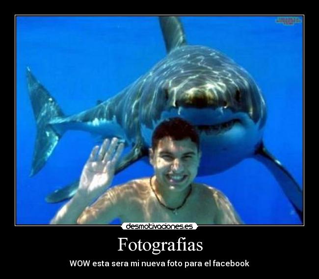 Fotografias - WOW esta sera mi nueva foto para el facebook