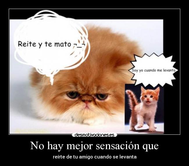 No hay mejor sensación que - reírte de tu amigo cuando se levanta