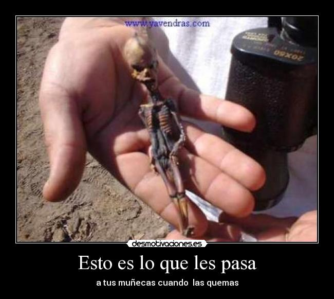 Esto es lo que les pasa - 