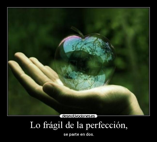 Lo frágil de la perfección, - se parte en dos.