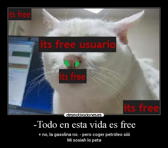 -Todo en esta vida es free - + no, la gasolina no. - pero coger petróleo siiii
Mi sosiah lo peta